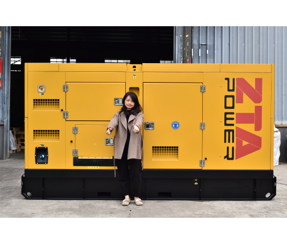 Genset Diesel ZTA Power 250kva SDEC
