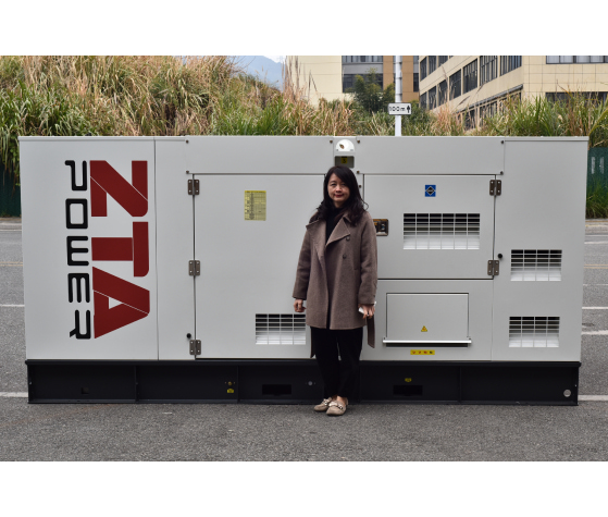 Genset Diesel Cummins ZTA POWER 250KVA